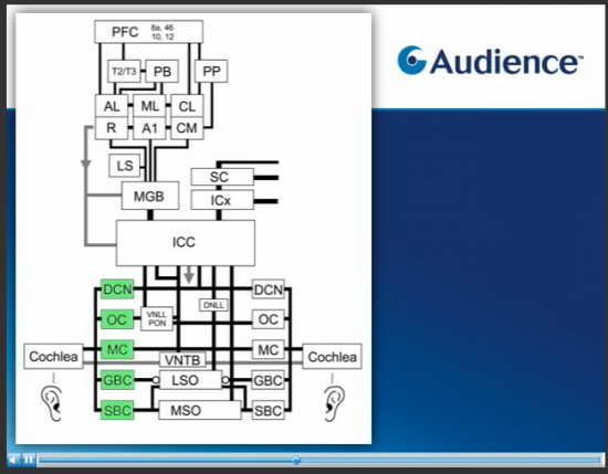 audience-processor audience-processor
