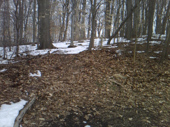 2010-02-24 13.27.08 2010-02-24 13.27.08