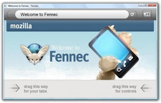 fennec fennec