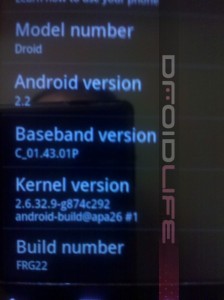 FRG22-DL-448x600 FRG22-DL-448x600
