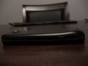 IMG_1306 IMG_1306