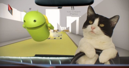 AndyCats