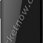 This image has no alt text