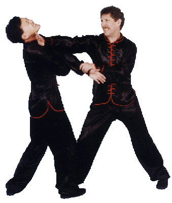kung-fu