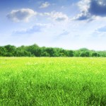 wallpaper_greenfield