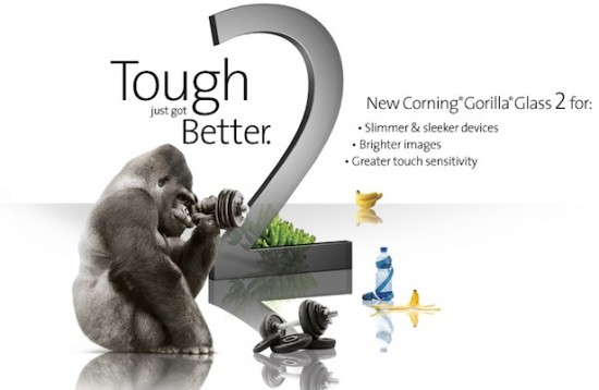 gorillaglass2_616