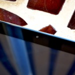 DSC_0012 DSC_0012