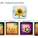 flower_620x372