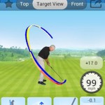 swingtip