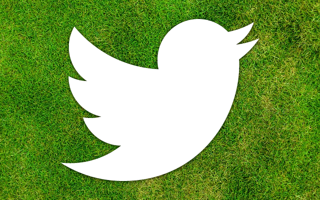 twitter sports