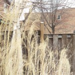 htc-one-m9-camera-sample-8