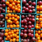 tomatoes.0