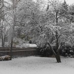 20151121_095440