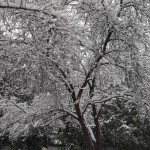 20151121_120731