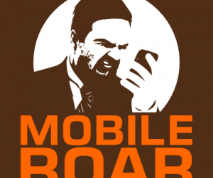 the end of flash for android (for real this time)