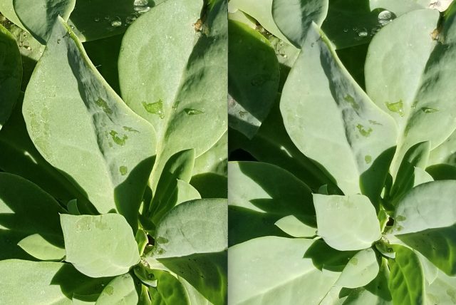 Galaxy-S6-vs-S8-Screen-Shot-2017-05-03-at-12.29.45-PM-640x428.jpg
