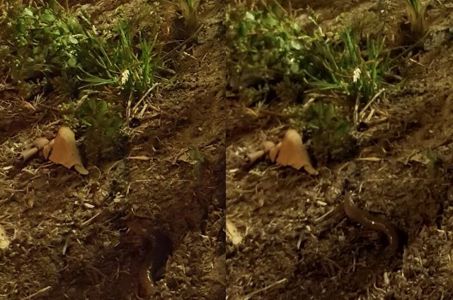 Galaxy-S7-vs-S8-Screen-Shot-2017-05-03-a